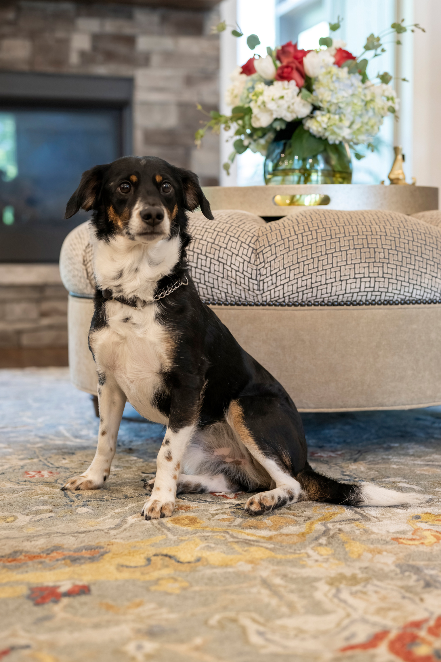 Parkville Main Level