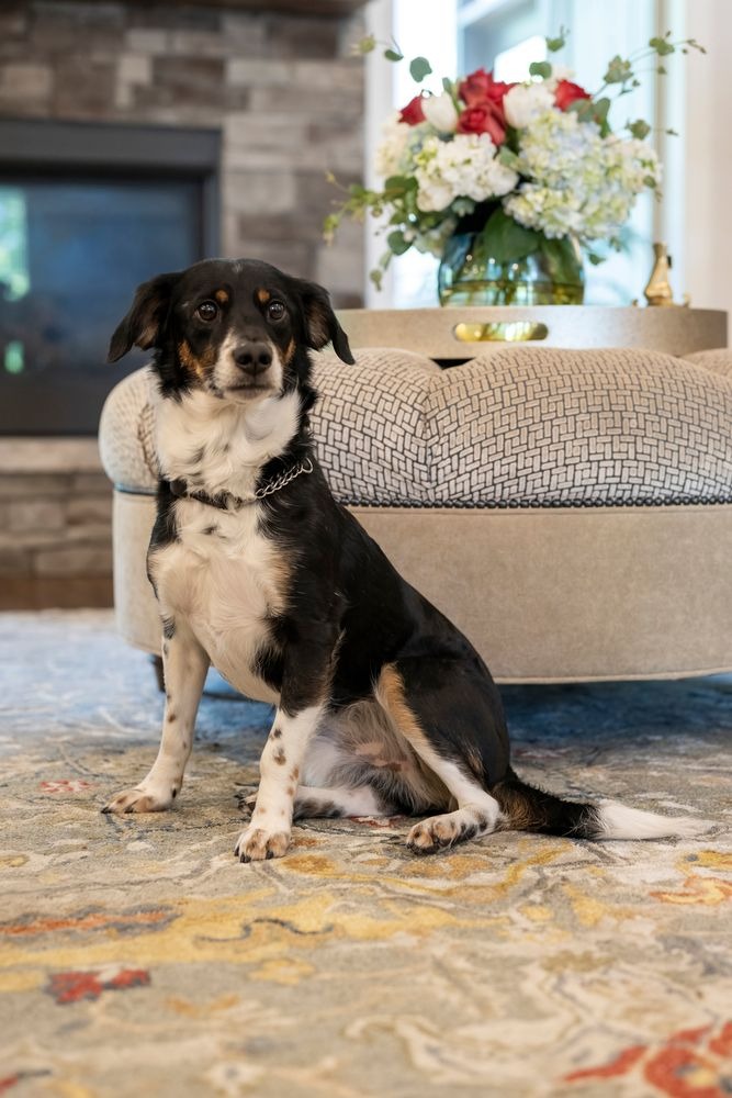 Parkville Main Level